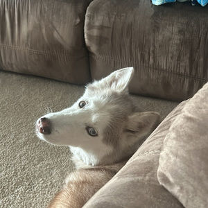 Meet your Posher, Valeria